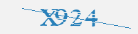 보안문자
